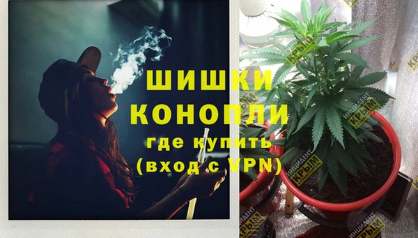 spice Бородино