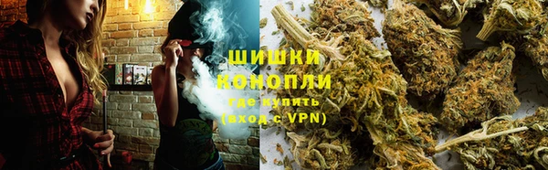 ГАЛЛЮЦИНОГЕННЫЕ ГРИБЫ Бронницы