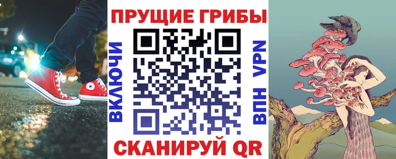 купить  сайты  Дагестанские Огни  mega ССЫЛКА  Галлюциногенные грибы Psilocybine cubensis 
